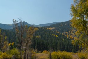 20201020FallColors2020094.jpg